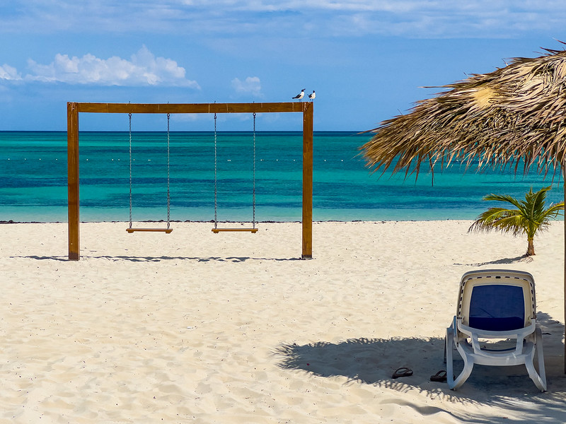 54596233513_ff187ff764_c